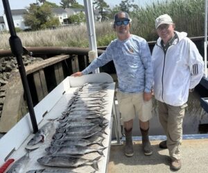 inshore fishing in Myrtle Beach SC