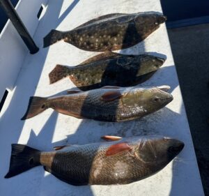 charter fishing in Myrtle Beach SC