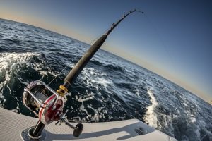 fishing charter